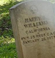 Pvt Harry J. Williams