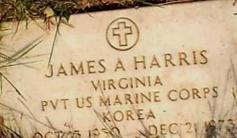Pvt James A. Harris Pvt James A. Harris