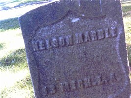 Pvt Nelson Marble (2047506.jpg)