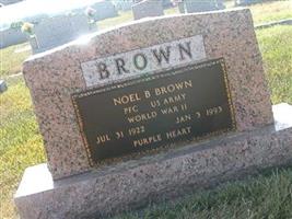 Pvt Noel B. Brown (1874653.jpg)