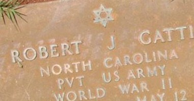 Pvt Robert J Gattis Pvt Robert J Gattis