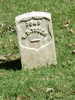 Pvt T. D. Tozer Pvt T. D. Tozer