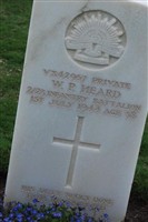 Pvt Wilfred Prentice Heard Pvt Wilfred Prentice Heard