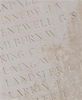 Pvt William Lewis Laing