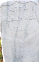 Pvt William N. Hall Pvt William N. Hall