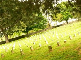 Pvt William N Stevens Pvt William N Stevens