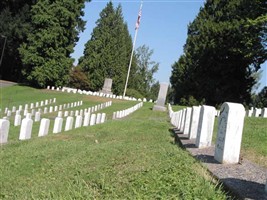 Pvt William Wiley Combest