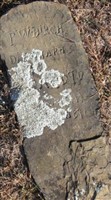 P. W. Birch P. W. Birch
