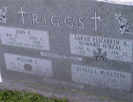 Queela McGuffin McGuffin Riggs (2066261.jpg)