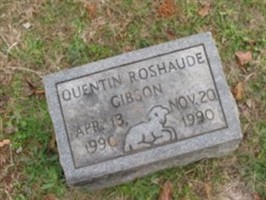 Quentin Roshaude Gibson Quentin Roshaude Gibson