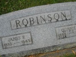 Quinnie Anne Meadows Robinson