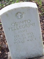 Quinto Pellegrino Quinto Pellegrino