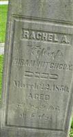 Rachel A Hitchcox