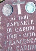 Raffaele DiCaprio