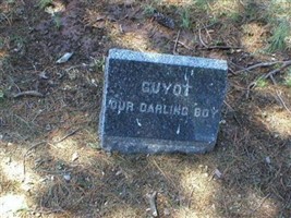 Ralph Guyot Torrey Ralph Guyot Torrey