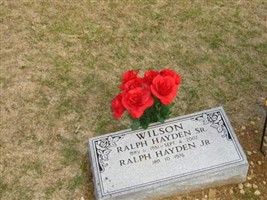 Ralph Hayden Wilson, Sr Ralph Hayden Wilson, Sr