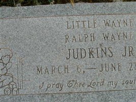 Ralph Wayne Judkins, Jr