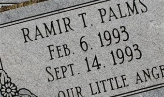 Ramir T Palms Ramir T Palms