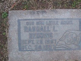 Randall L Redding
