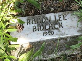 Randy Lee Bidlack