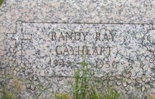 Randy Ray Gayheart Randy Ray Gayheart