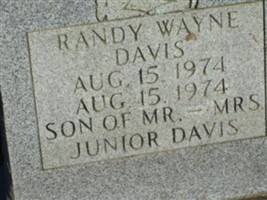 Randy Wayne Davis