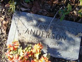 Raney C Anderson