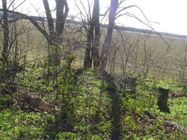 Raspberry Cemetery Raspberry Cemetery