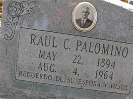 Raul C Palomino Raul C Palomino