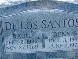 Raul De Los Santos Raul De Los Santos