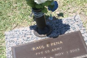 Raul E. Pena