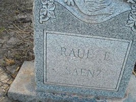 Raul E Saenz Raul E Saenz