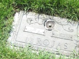 Raul M. DeRojas (2028072.jpg)