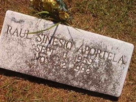 Raul Sinesto Aportela (2390563.jpg)