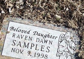 Raven Dawn Samples Raven Dawn Samples