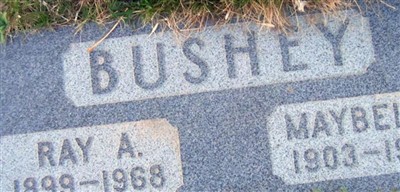 Ray Allen Bushey