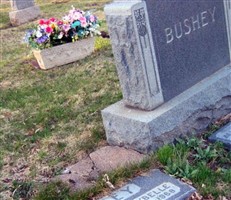 Ray Allen Bushey