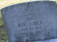 Ray Amick
