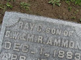 Ray C. Ammon