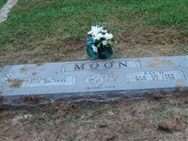 Ray H Moon