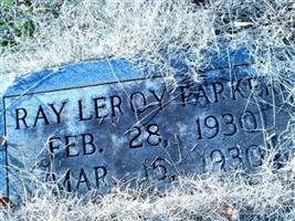 Ray Leroy Parker