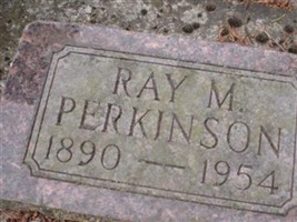 Ray M Perkinson Ray M Perkinson