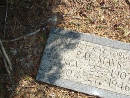 Ray Mays Ray Mays