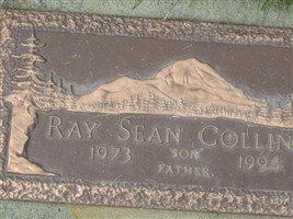 Ray Sean Collings