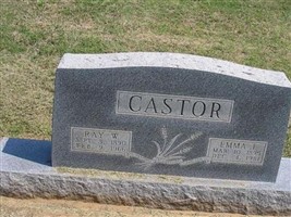 Ray W. Castor Ray W. Castor