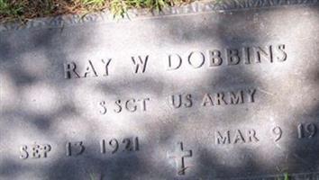 Ray William Dobbins