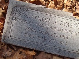 Raymon J Byas