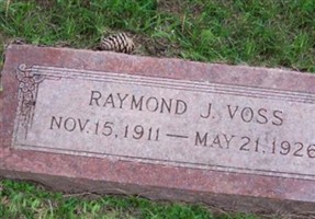Raymond Albert John ""Ray"" Voss