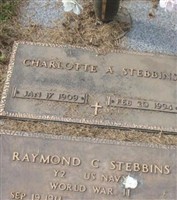Raymond C Stebbins