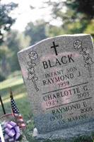 Raymond E. Black